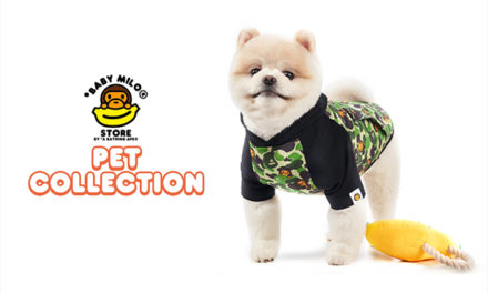 Outfit Your Pet in the Latest Bape Streetwear