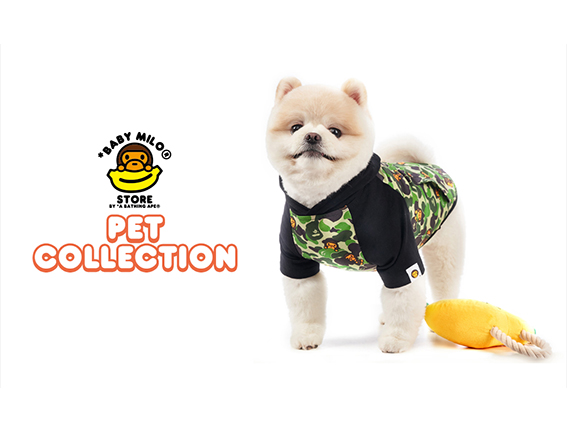 marketing Op de loer liggen gastheer Outfit Your Pet in the Latest Bape Streetwear. Japanese streetwear brand  Bape has released a new line of items for stylish pups and kitties.
